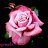 ���� Valerij, ������ - ��������� 3 ��� 2016
