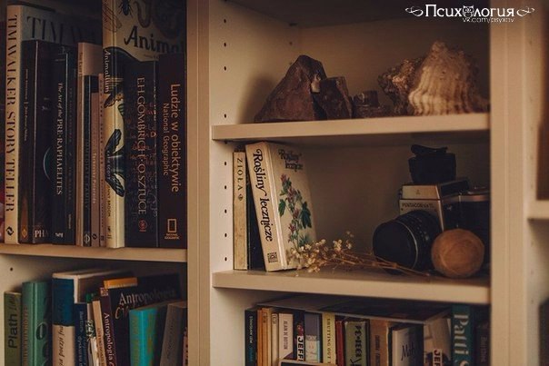 ТОП-10 книг, прочитав которые, человек навсегда перестает жить