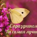 ���� �������, ��������, 63 ���� - ��������� 14 ����� 2016 � ������ �������� ��������