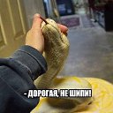 ���� �����, ������, 57 ��� - ��������� 18 ������ 2016 � ������ ���� ����������