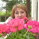  ,  -  24  2016   &quot;  &quot;.. 2016