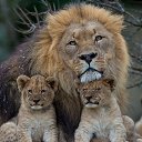���� ��������, ������, 62 ���� - ��������� 17 ����� 2016 � ������ ���� ����������