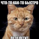 ���� ������, ������������ - ��������� 28 ���� 2016 � ������ ������ ��������