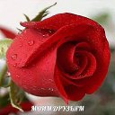 ���� ������, ������ - ��������� 12 ��� 2016 � ������ ����� �����