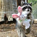 ���� ������, ����-��������� - ��������� 6 ���� 2016 � ������ ���� ����������