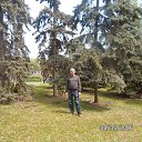  ., , 62  -  13  2016    2016