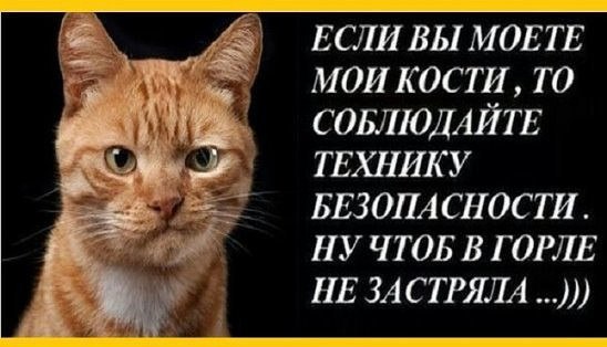 ***Victoria Viktorovna*** - 20  2016  15:30