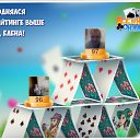 ���� �������� ������������, ���������, 51 ��� - ��������� 31 ��� 2016 � ������ �������� �������-�������