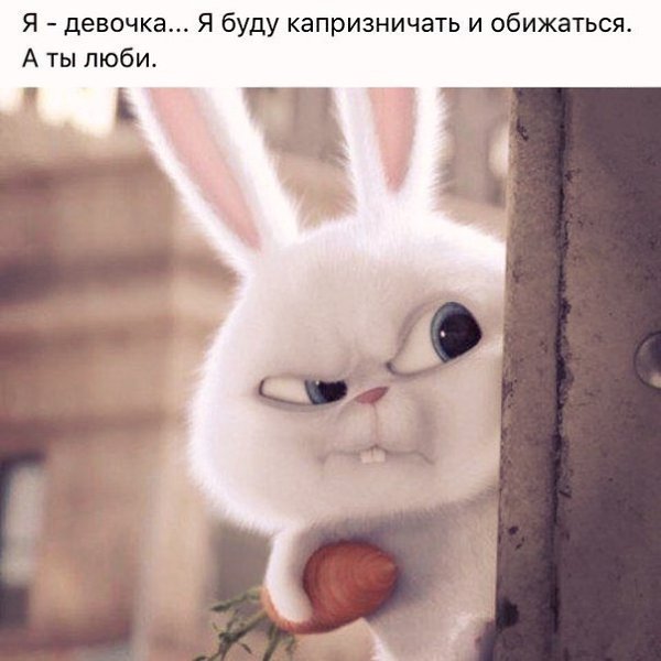    - 5  2016  10:44