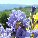  , , 60  -  16  2016    ,,18.05.16.