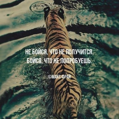 �������� - 7 �������� 2016 � 04:59