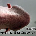 ���� �����, �����, 52 ���� - ��������� 25 ���� 2016 � ������ ������ ��������