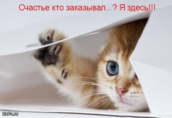      .  : https://fotostrana.ru/away?to=/sl/xLk1