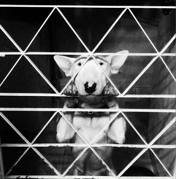 ���������� ����������. - 27 ���� 2016 � 10:53