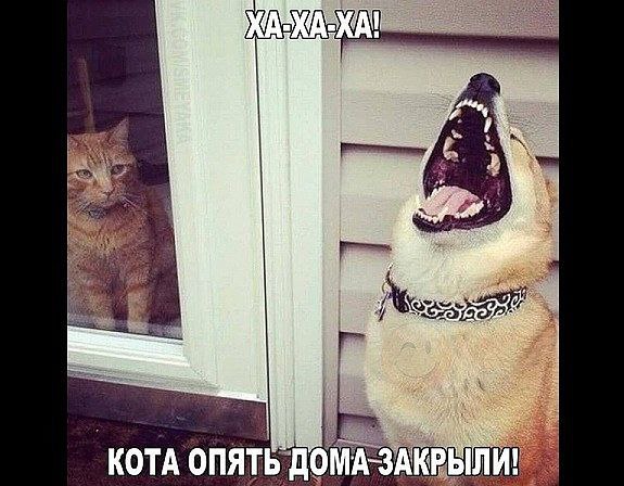 ***Victoria Viktorovna*** - 9 ������ 2016 � 02:23