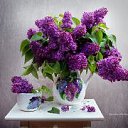 ���� ����, ������� - ��������� 1 ������ 2016 � ������ ������ ��������