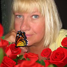 ����, ������������, 65 ���