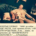 ���� �����, ����, 52 ���� - ��������� 1 ������ 2016 � ������ ������ ��������