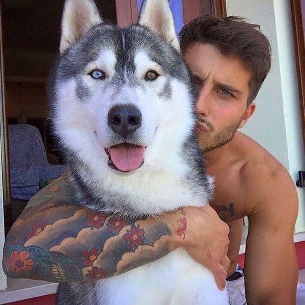 Собаки - 20 мая 2016 в 16:53