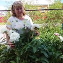 ���� �����, ������, 64 ���� - ��������� 13 ���� 2016 � ������ ���� ����������