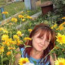 ���� ��������, �������, 52 ���� - ��������� 8 ������� 2016 � ������ ���� ����������