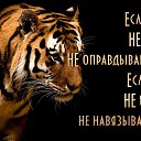 ���� �������, ����, 64 ���� - ��������� 21 ��� 2016 � ������ ���� ����������