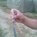  ., , 56  -  31  2016    