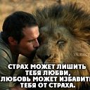 ���� ������, ��������, 64 ���� - ��������� 21 ����� 2016 � ������ ������ ��������