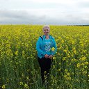 ���� �������, ������ - ��������� 15 ��� 2016 � ������ ���� ����������