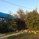 ���� ���������, �������������� - ��������� 8 �������� 2016 � ������ �����