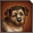 ���� ������, �����������, 53 ���� - ��������� 18 ��� 2016 � ������ ������ ��������