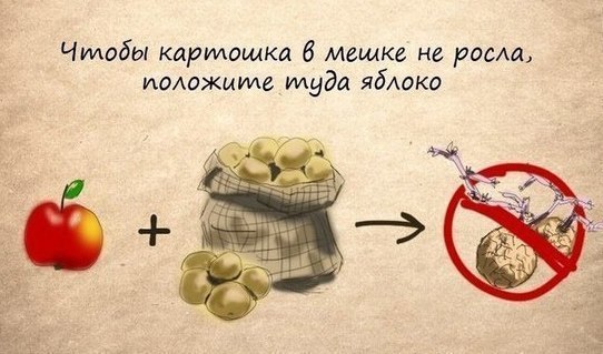 10      . #@cooklove - 7