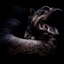 ���� Rinat, �����-��������� - ��������� 27 ������� 2016 � ������ ������ ��������