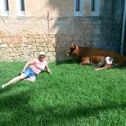 ���� �����, ���������, 51 ��� - ��������� 1 �������� 2016