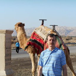 ������ �������, ���������, 68 ���