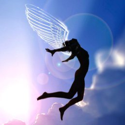 ���� �������, �����-���������, 51 ��� - ��������� 13 ���� 2016