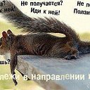 ���� ����, ��������, 39 ��� - ��������� 30 ���� 2016 � ������ ������ ��������