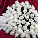 ���� ������..., ������, 55 ��� - ��������� 4 ������� 2016 � ������ ������ ��������