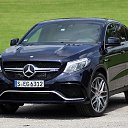 ���� ����, ������, 41 ��� - ��������� 13 ���� 2016