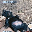 ���� ����x�, ����, 36 ��� - ��������� 21 ������ 2016 � ������ ������ ��������