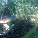 ���� �����, ������, 64 ���� - ��������� 22 ���� 2016 � ������ ���� ����������