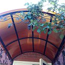 ���� �����, ���������� �����, 55 ��� - ��������� 19 ���� 2016 � ������ ���� ����������