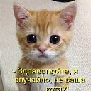 ���� ��������, ����, 50 ��� - ��������� 25 ���� 2016 � ������ ���� ����������