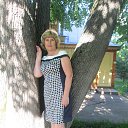 ���� �����, �������, 68 ��� - ��������� 29 ��� 2016 � ������ ���� ����������