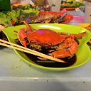 ������ �� ������� �����������