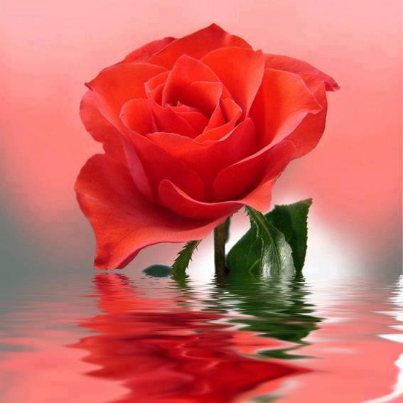 "  ..." - 15  2016  05:22