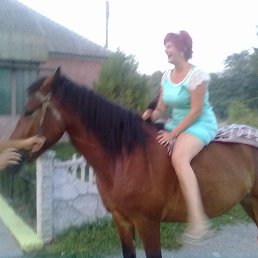 �������, ��������, 54 ����