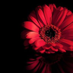 ���� ���, ���������� - ��������� 11 ���� 2016