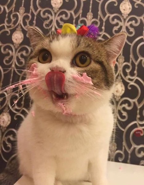- �� ��� �� ����... ����������! #����@bon - 2