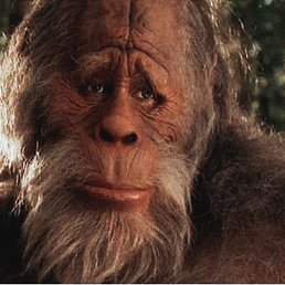 �������, �����